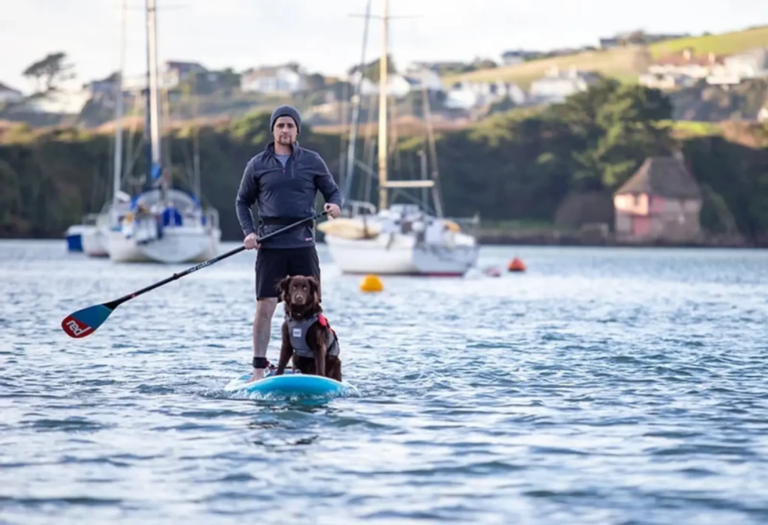 8 Safety Tips for Paddleboarding with Your Dog This Summer