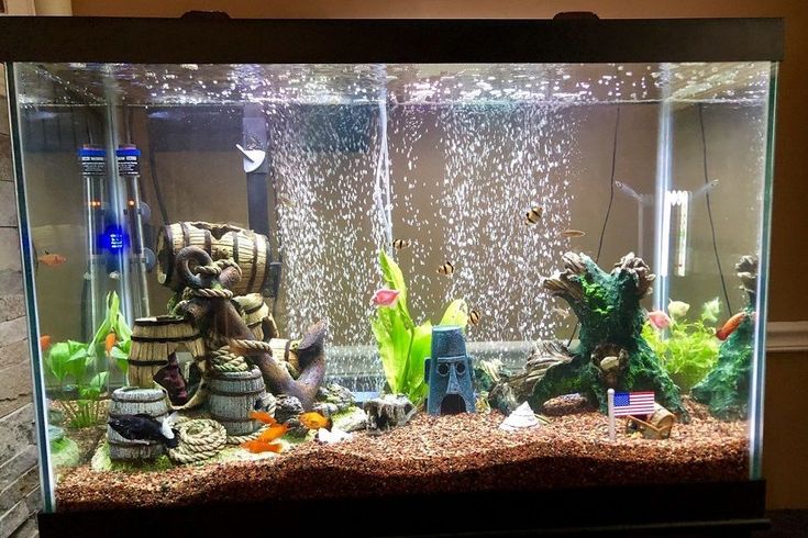 Fish Tank